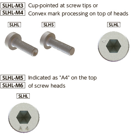 SLHLSocket Head Cap Screws with Low Profile - 316L Stainless Steel