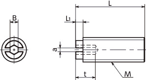 SPC-TSPlastic Slotted Socket Set Screws - PC寸法図