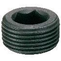 Hex Socket Pipe Plugs