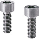 Hex Socket Head Cap Screws (Tantalum)