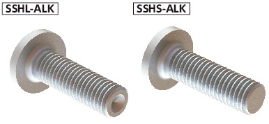 SSHL-ALKUltra Low Profile Socket Head Cap Screws with Nylon Patch - 316L Stainless Steel