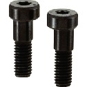 Clamping Screws(Guide type/Ferrosoferric Oxide Film)