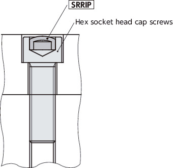 SRRIPProtective Cap for Hex Socket
