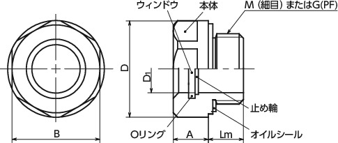 QLGAXオイルレベルウィンドウ - ATEX指令適合寸法図