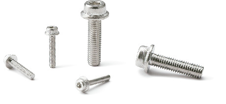 SFSS-PCフランジ付き六角穴付きボルト(特殊化学研磨処理)