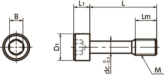 SSCSocket 헤드 캡 캡 티브 나사 치수도