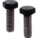 Hex Head Screws - PFA Coating for Head