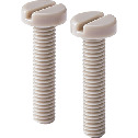 Plastic Screw - Slotted Pan Head Machine Screw - PEEK - Inch Thread