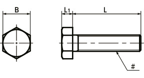 SPE-H (INCH) Kunststoffschrauben - Sechskantschrauben - Zollgewinde - PEEK 寸 法 図