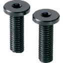 Plastic Ultra Low Profile Hexalobular Socket Head Screws - RENY
