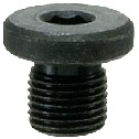 Hex Socket Flange Head Screw Plugs - Steel