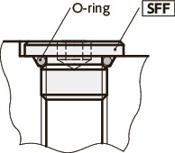 SFFSHex Socket Flange Head Screw Plugs