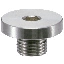 Hex socket flange head screw plugs