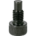 Hex Socket Head Cap Screws with Dog Point - Steel