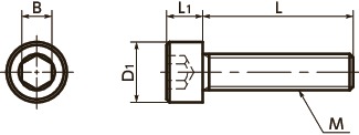 SNSLHex Socket Head Cap Screws (SUS316L)寸法図