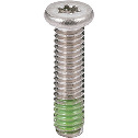 Hexalobular Socket Extra Low Profile Miniature Screw / Nylon Patch