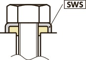 SWS-SSeal washer