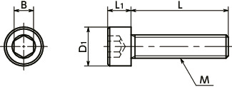 SNSLG-PCHigh Strength Stainless Steel Socket Head Cap Screws - Specialized Chemical Polishing寸法図