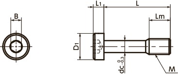 SSCLSSocket Head Cap Captive Screws with Low Profile寸法図