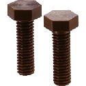 Plastic Screw - Hex Head Screws - VESPEL（Grade：SP-1）
