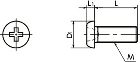 Vite SPE-MCPlastic - Viti a testa cilindrica con intaglio a croce per strumenti di precisione - PEEK 寸 法 図