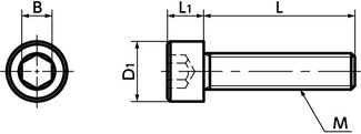 Viti SPEG-CPlastic - Viti a testa cilindrica con esagono incassato - PEEK GF30寸法図