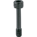 Socket Head Cap Captive Screws - PTFE Coating