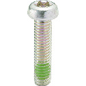 Hexalobular Socket Pan Head Machine Screws with Nylon Patch