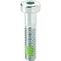 Low Profile Socket Head Cap Screws with Nylon Patch