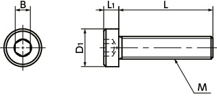 SPA-LCPlastic screw  -  Hex Socket Low Head Bolt  -  RENY寸法図