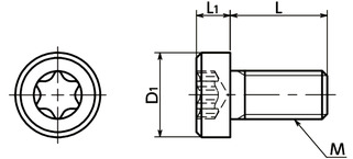 SPS-LHPlastic Screws - Hexalobular Socket Head Cap Screws with Low Profile - PPS寸法図