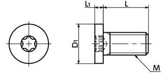 SPS-SHPlastic Screws - Hexalobular Socket Head Cap Screws with Ultra Low Profile - PPS寸法図