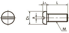 SNZS-SPAN Hoofdschroeven voor Precisie Instrumenten