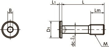 SSCHSSocket Head Cap Captive Screws with Special Low Profile寸法図