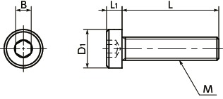 SPA-LCPlastic screw - Hex Socket Low Head Bolt - RENY寸法図