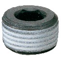Hex Socket Pipe Plugs
