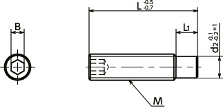 도그 포인트가 있는 SDSHex 소켓 나사 - Steel寸法図