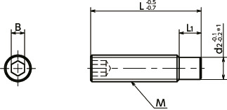 SDSSHex Socket Screws with Dog Point - Stainless Steel寸法図