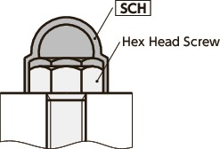 SCHScrew Caps, Hex Head Protectors