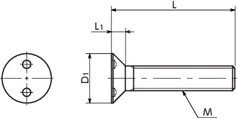 SRTFS-SETTwo-Hole Flat Head Machine Screws and Rosette Washer Set寸法図