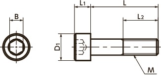 Vít đầu nắp SNSTHex - Titanium 寸 法 図