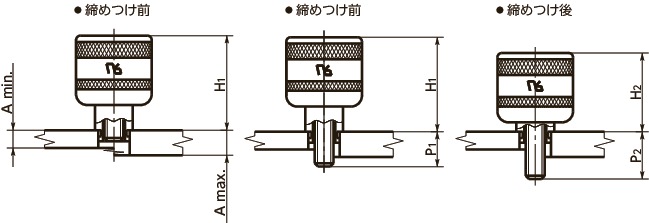 47-RA-Pキャプティブスクリュー - 不正アクセス防止タイプ