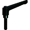 LDM