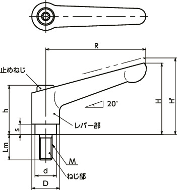 LDM 