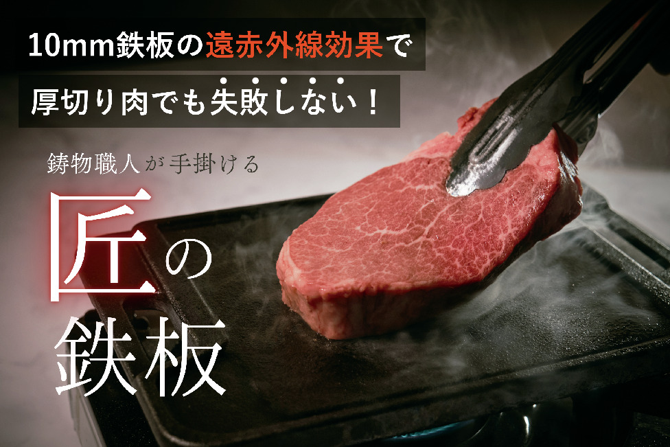 CLGGPグリルプレートWF10 