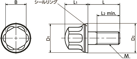 SFHL-HD-Eフランジ付き六角ボルト - ハイジェニックデザイン 