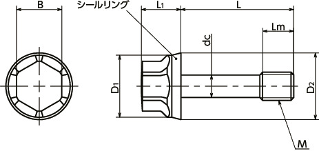 SFHL-LH-SC-HP-HD-Hフランジ付き低頭六角脱落防止ボルト - ハイジェニックデザイン寸法図