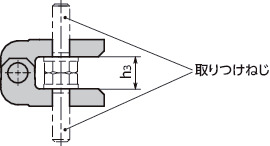 HNDHS-NI 