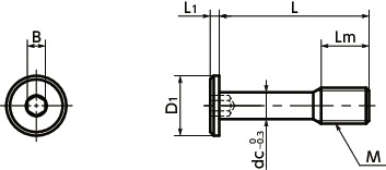SSCHS｜六角穴付き極低頭脱落防止ねじ｜NBK【鍋屋バイテック会社】
