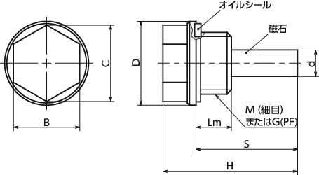 QPMAHスクリュープラグ - マグネットつき寸法図